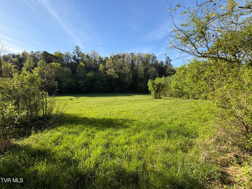 Photo #26: 2930 Arch Way