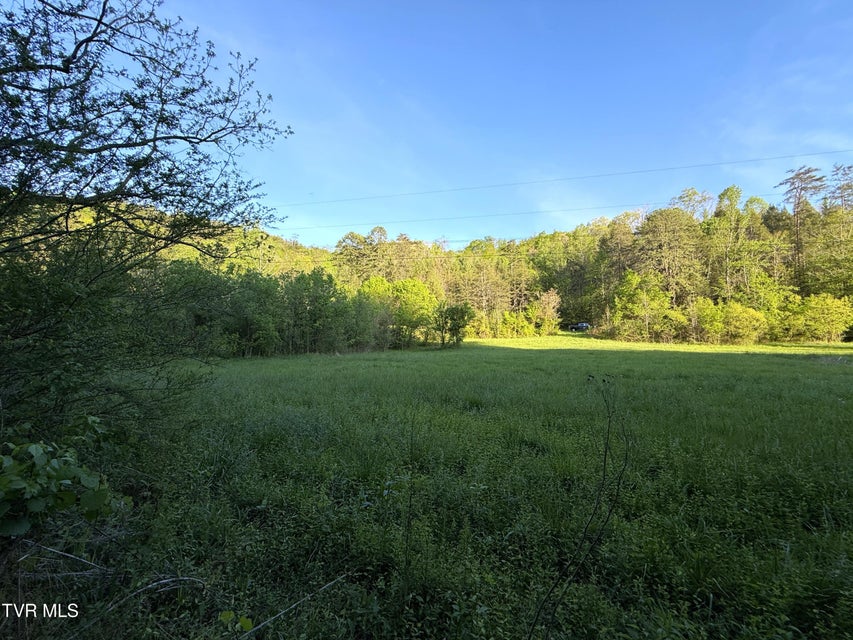 Photo #27: 2930 Arch Way