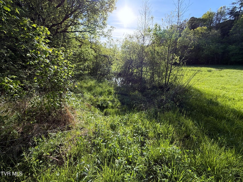 Photo #28: 2930 Arch Way