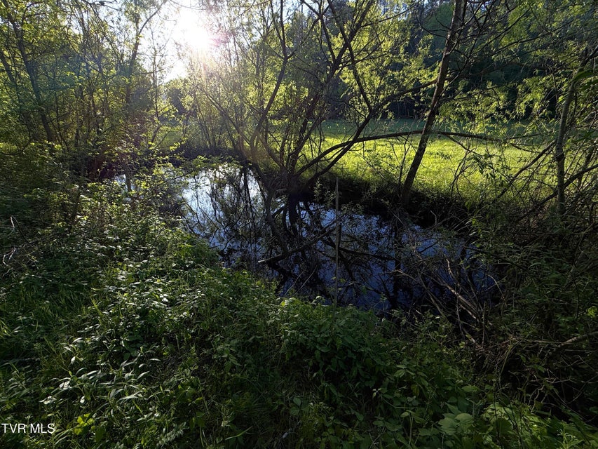 Photo #29: 2930 Arch Way