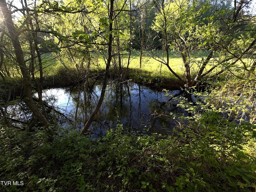 Photo #30: 2930 Arch Way