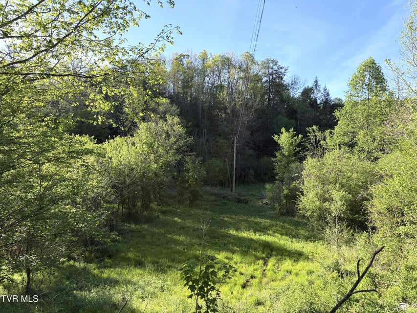 Photo #31: 2930 Arch Way