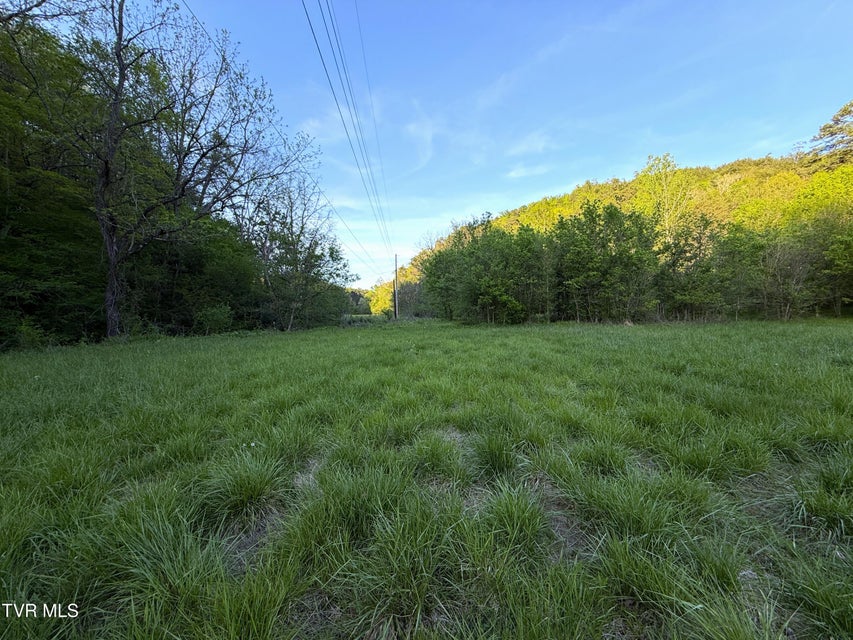 Photo #32: 2930 Arch Way