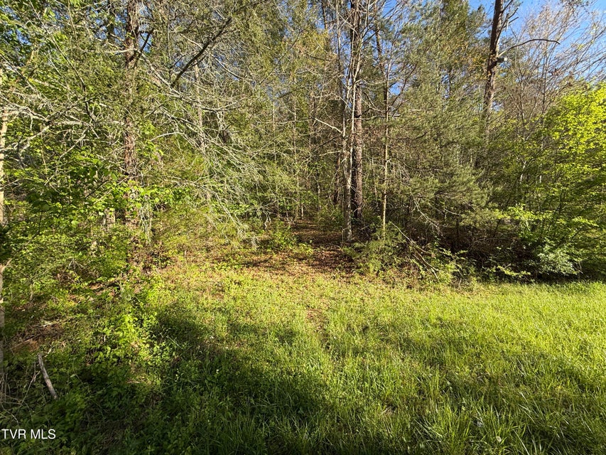 Photo #33: 2930 Arch Way