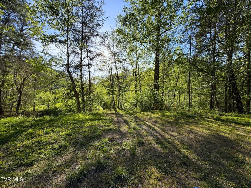 Photo #34: 2930 Arch Way