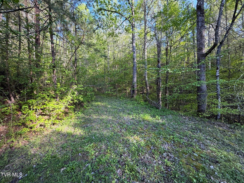 Photo #35: 2930 Arch Way