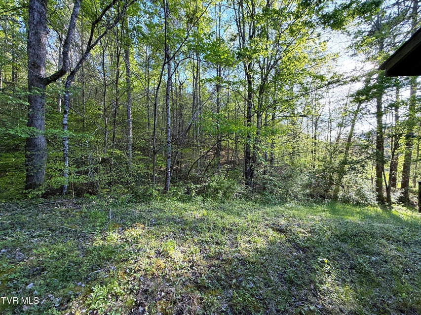 Photo #36: 2930 Arch Way