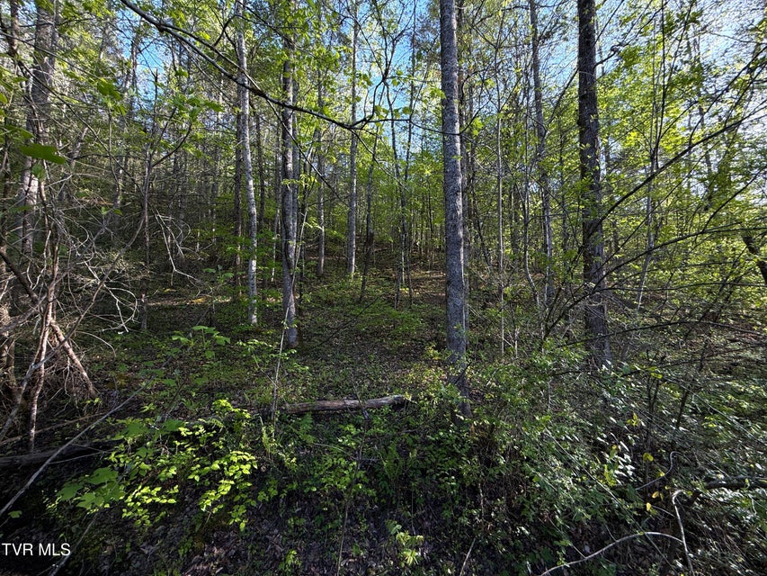 Photo #37: 2930 Arch Way