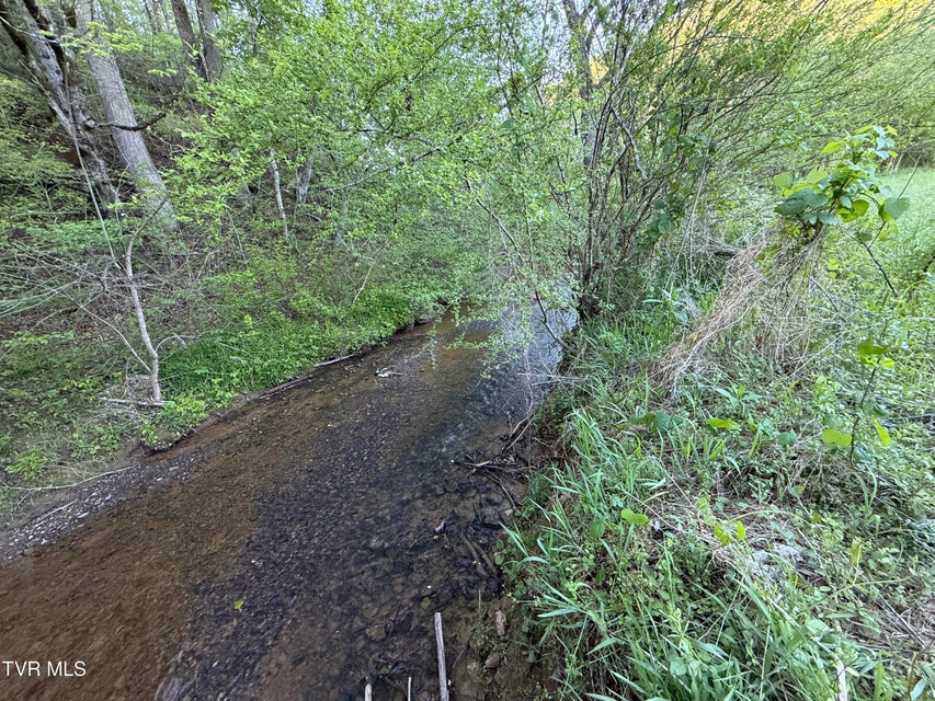 Photo #39: 2930 Arch Way