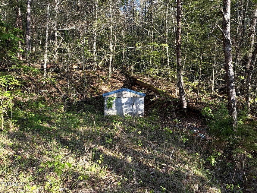 Photo #40: 2930 Arch Way