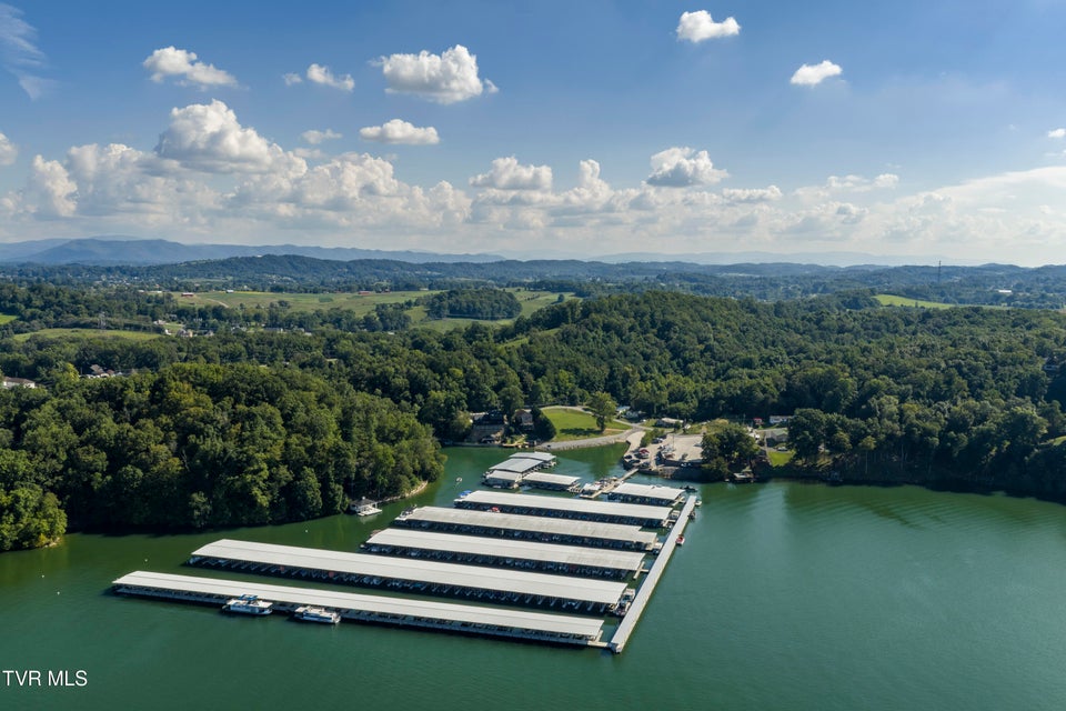 Photo #37: 667 Rockingham Road