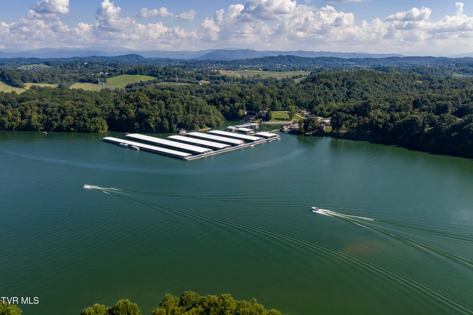 Photo #41: 667 Rockingham Road