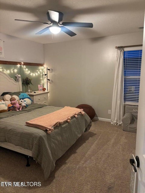 Photo #24: 1177 Raccoon Lane