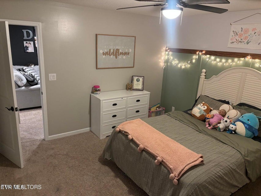 Photo #25: 1177 Raccoon Lane