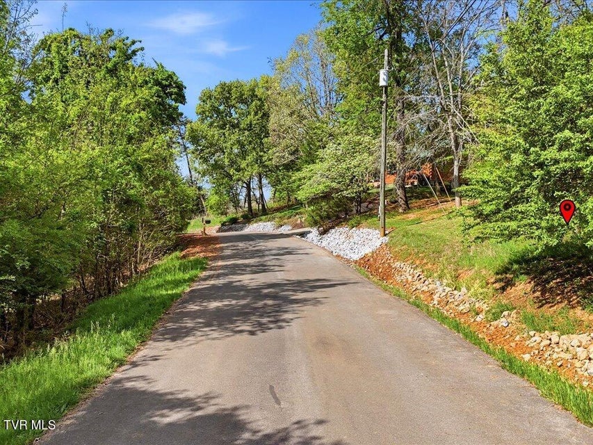 Photo #2: Lot 60 Chelaque Way