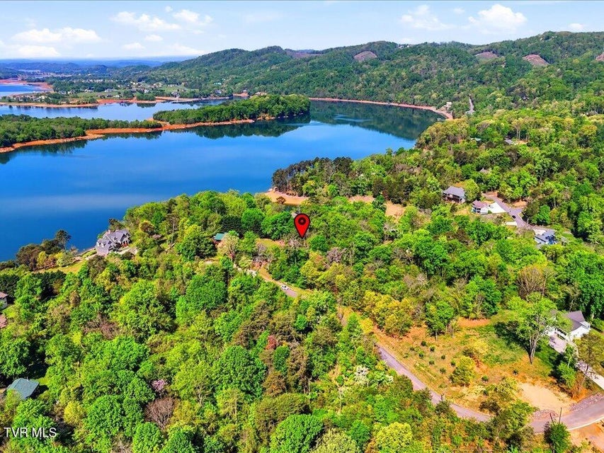 Photo #4: Lot 60 Chelaque Way