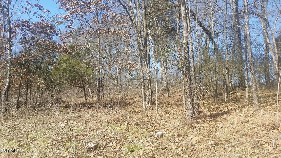 Photo #7: Lot 60 Chelaque Way