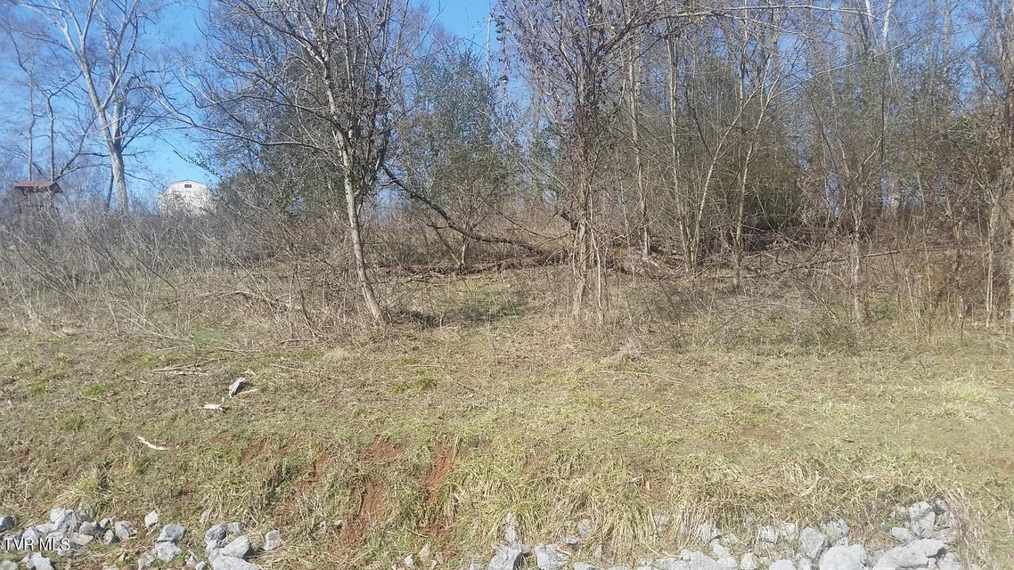 Photo #8: Lot 60 Chelaque Way