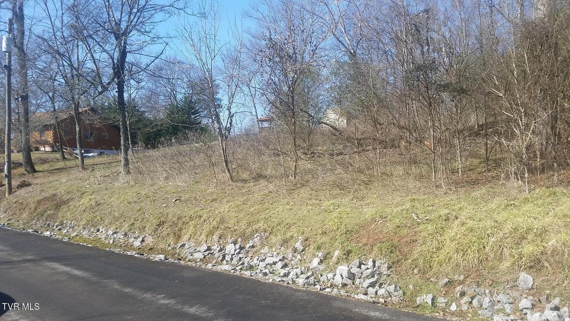 Photo #9: Lot 60 Chelaque Way