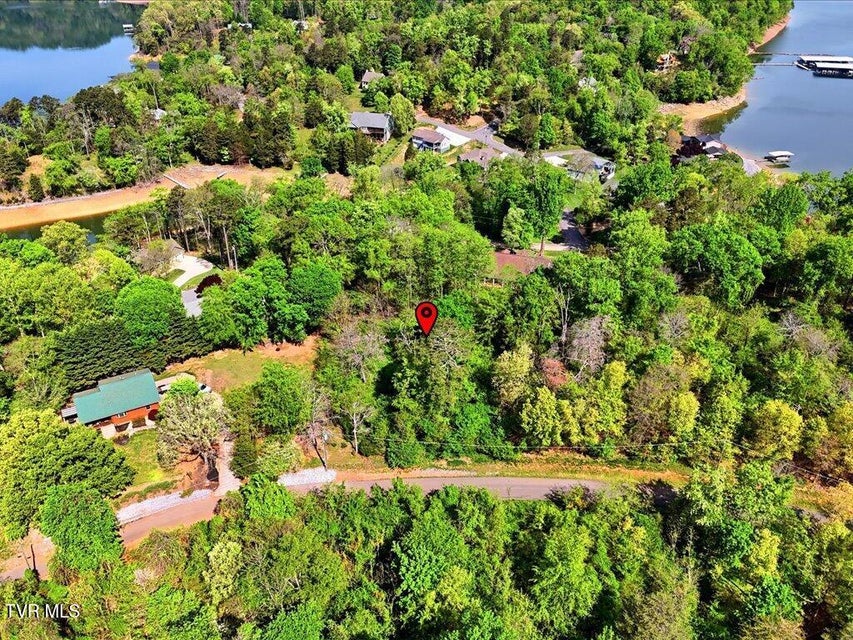 Photo #10: Lot 60 Chelaque Way