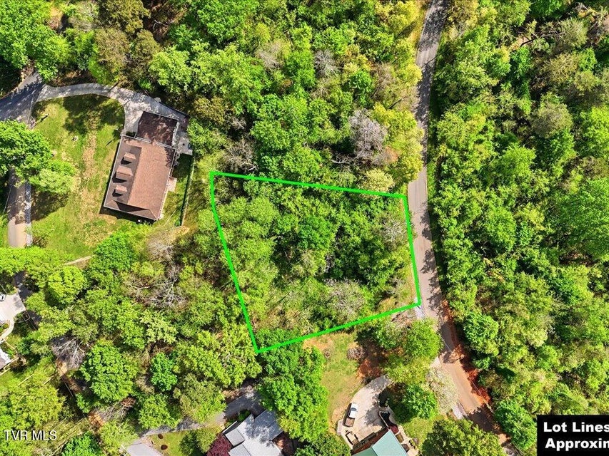 Photo #12: Lot 60 Chelaque Way