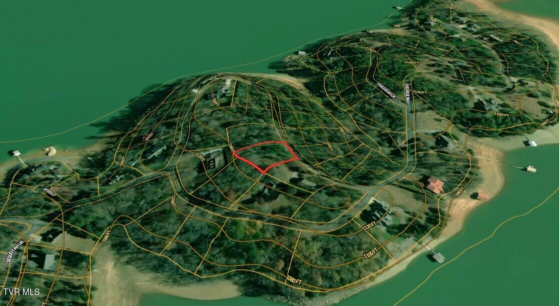 Photo #30: Lot 60 Chelaque Way