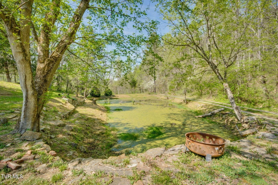 Photo #29: 170 Davis Road