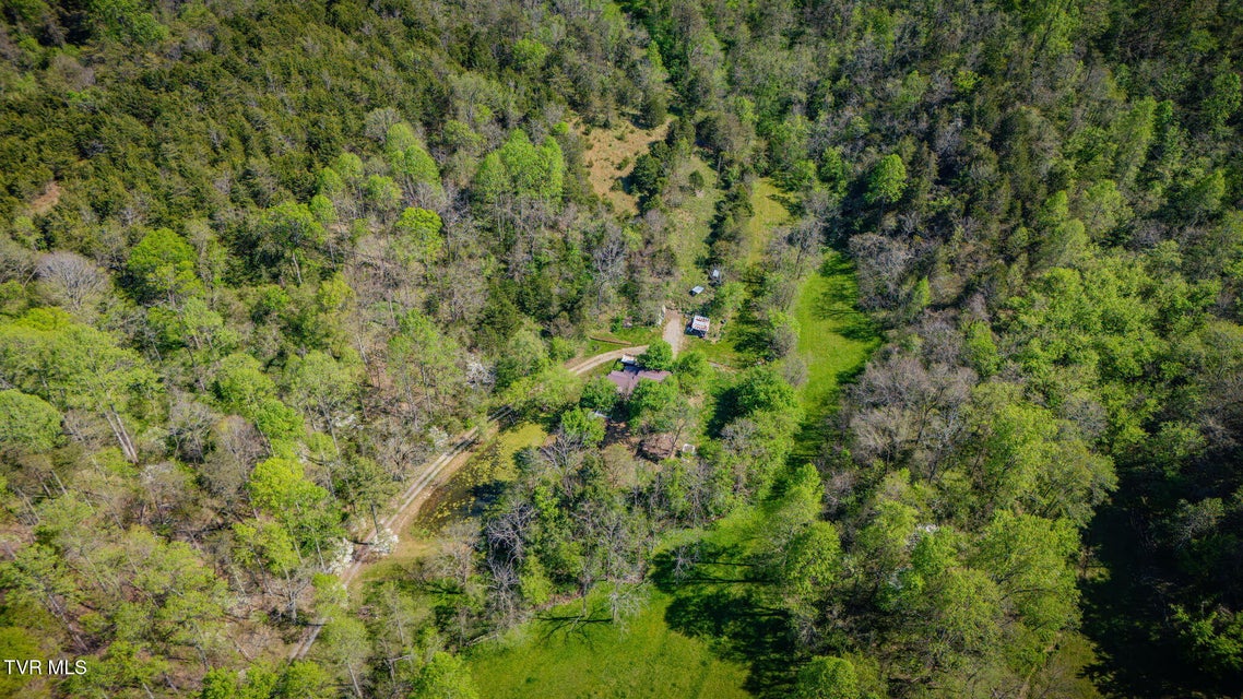 Photo #30: 170 Davis Road