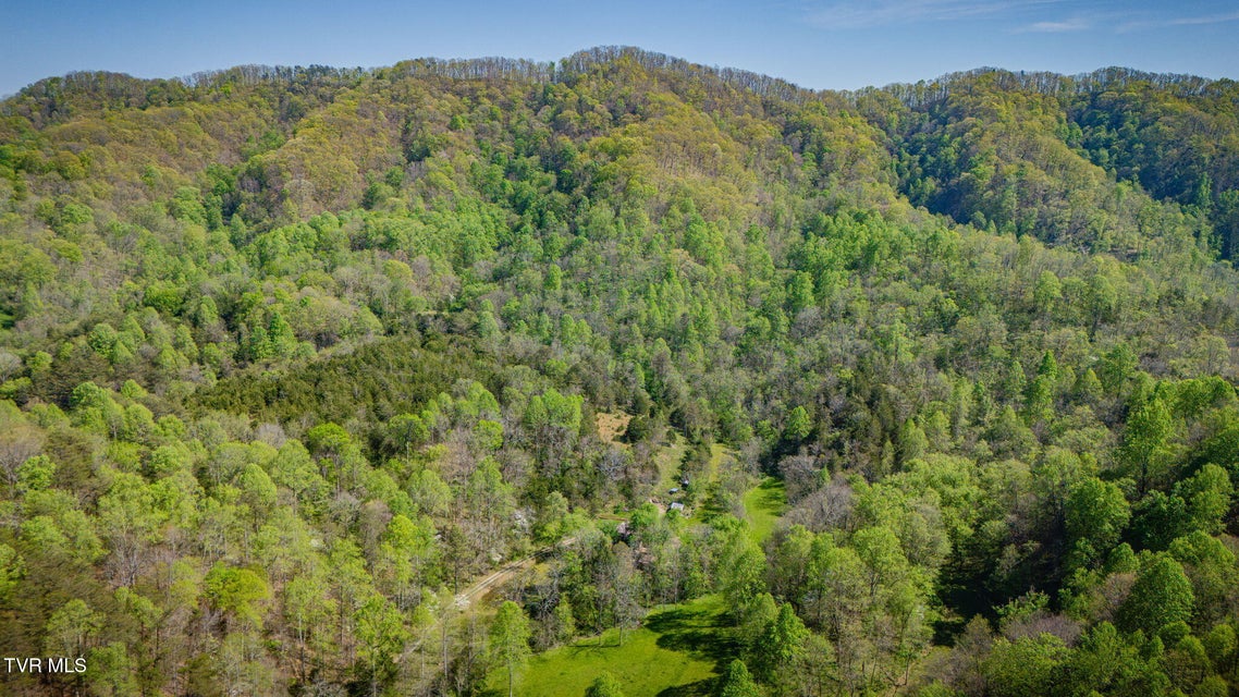 Photo #31: 170 Davis Road