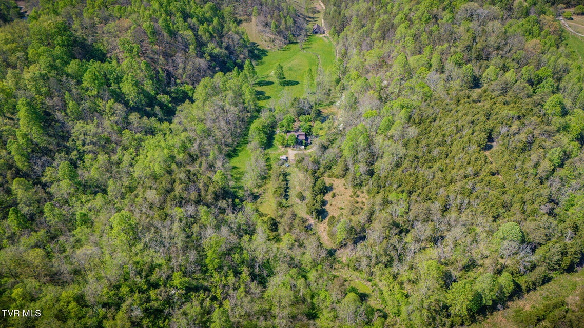 Photo #32: 170 Davis Road