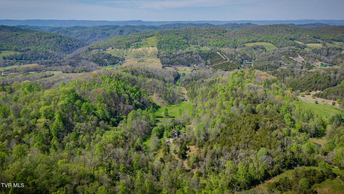 Photo #33: 170 Davis Road