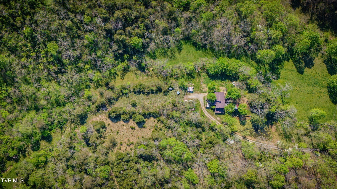 Photo #34: 170 Davis Road