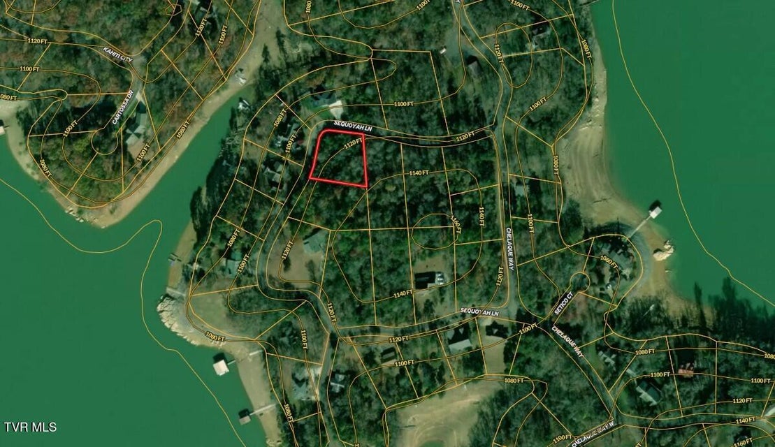 Photo #6: 1609 Sequoyah Drive