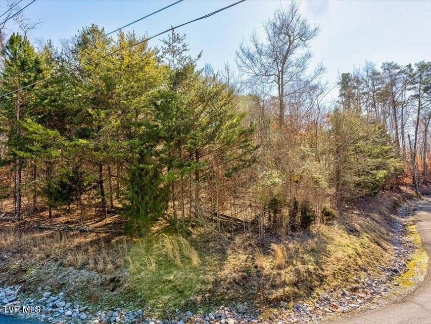 Photo #9: 1609 Sequoyah Drive