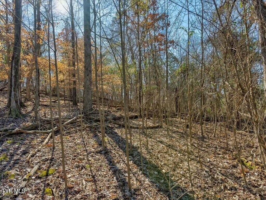 Photo #11: 1609 Sequoyah Drive