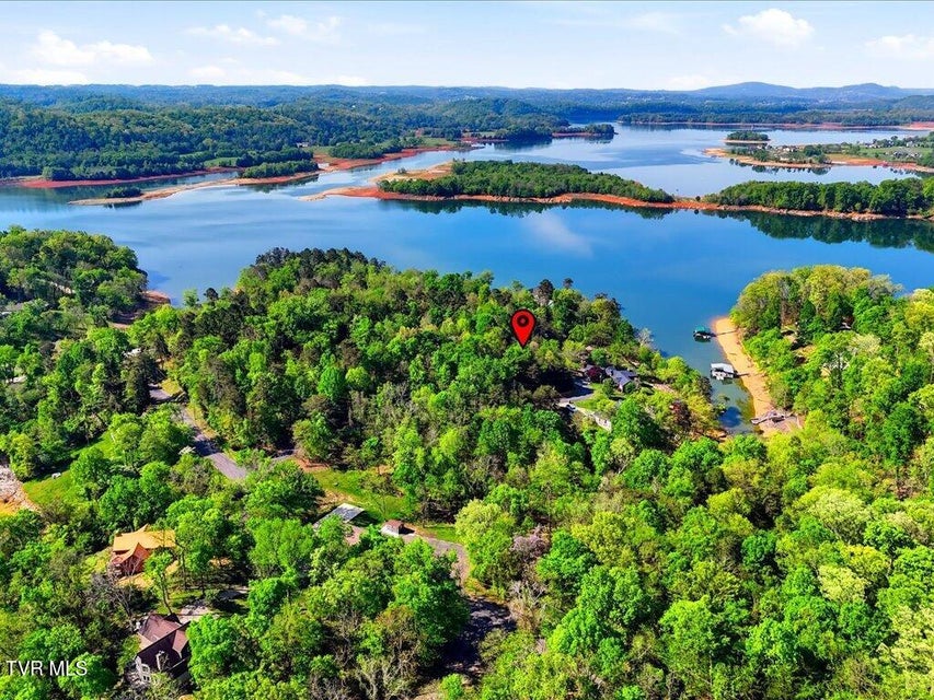 Photo #15: 1609 Sequoyah Drive