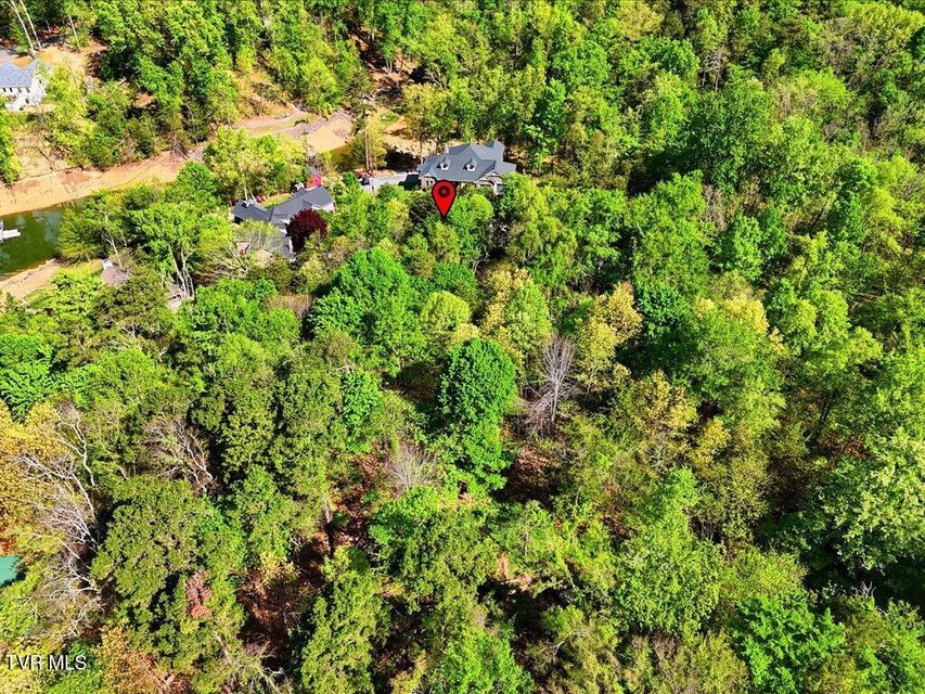 Photo #19: 1609 Sequoyah Drive