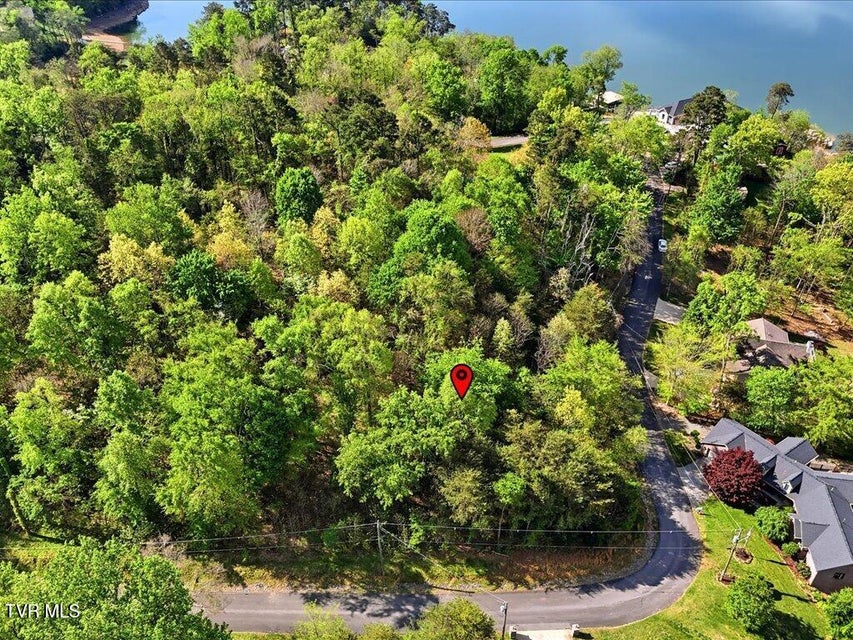 Photo #20: 1609 Sequoyah Drive