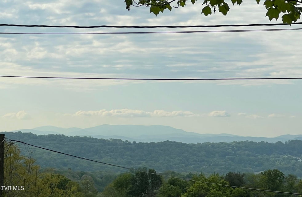 Photo #35: 613 Rogers Avenue