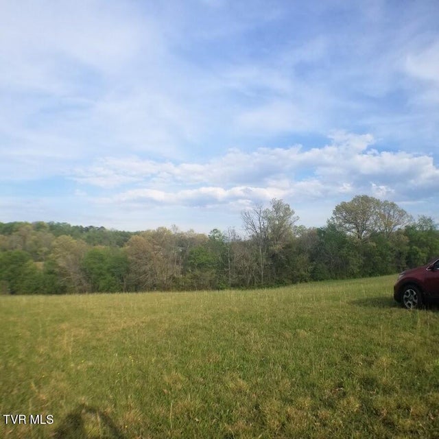 Photo #4: 00 Loves Lane