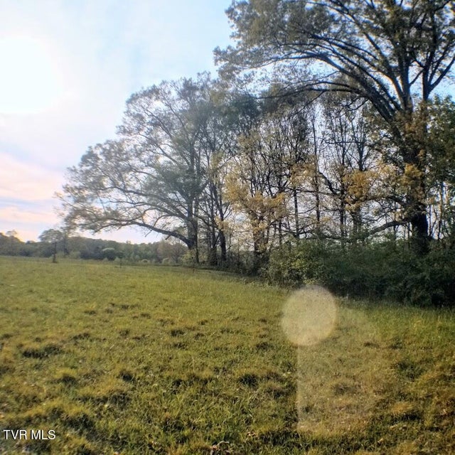 Photo #5: 00 Loves Lane