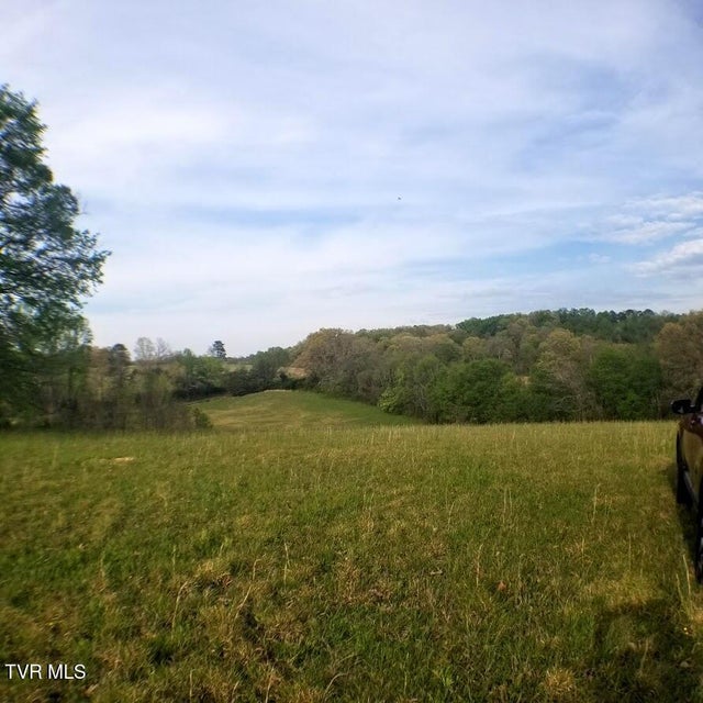 Photo #7: 00 Loves Lane