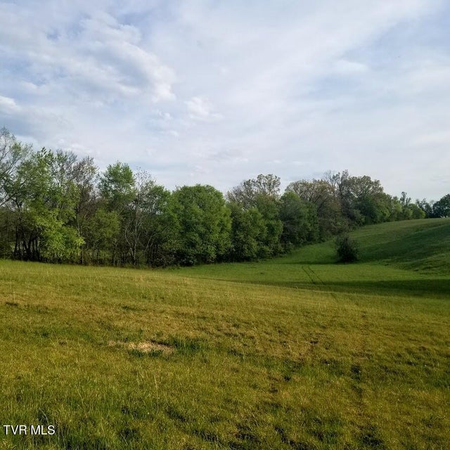 Photo #11: 00 Loves Lane