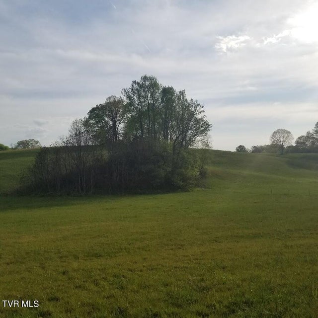 Photo #12: 00 Loves Lane