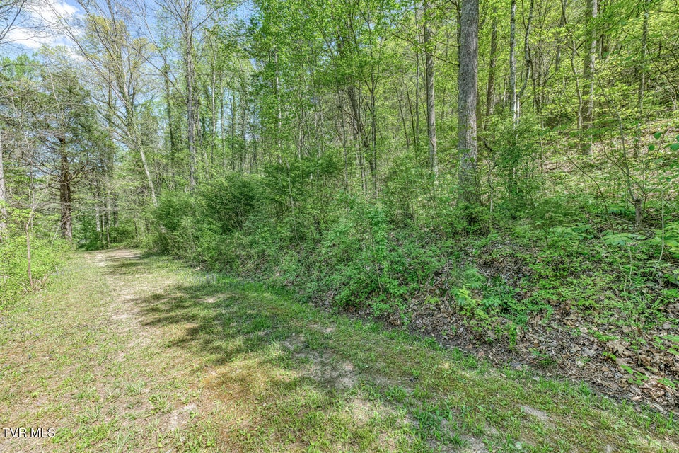 Photo #4: Tbd Havenmore Drive