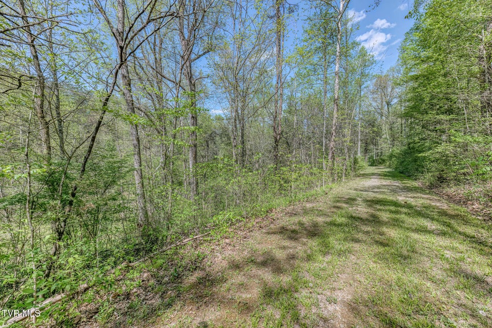 Photo #5: Tbd Havenmore Drive