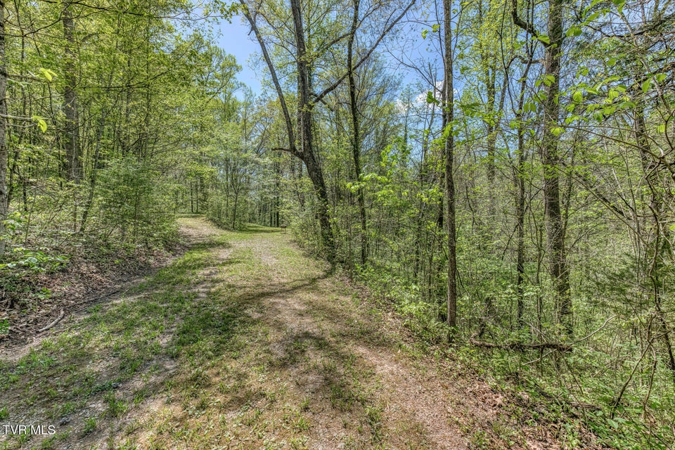 Photo #6: Tbd Havenmore Drive