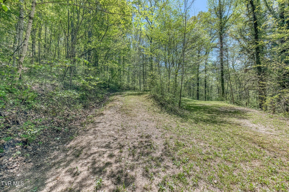 Photo #7: Tbd Havenmore Drive