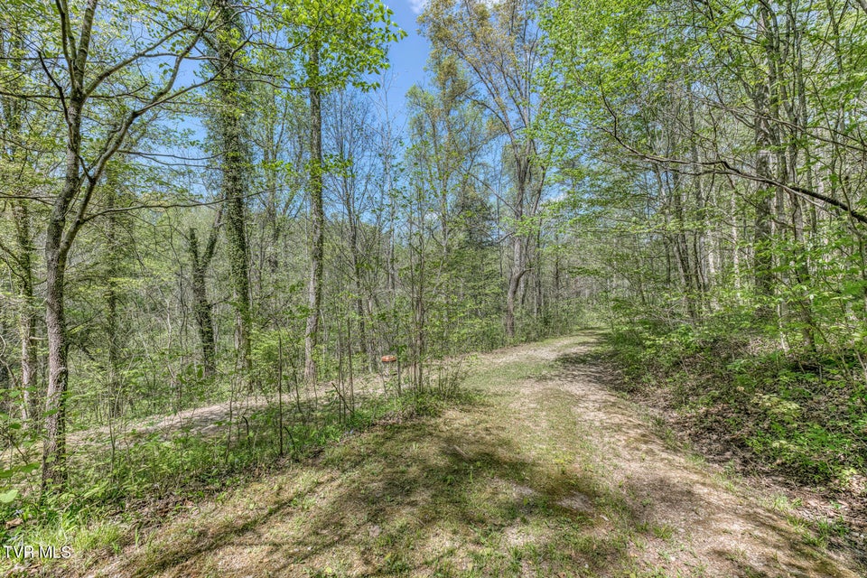 Photo #8: Tbd Havenmore Drive