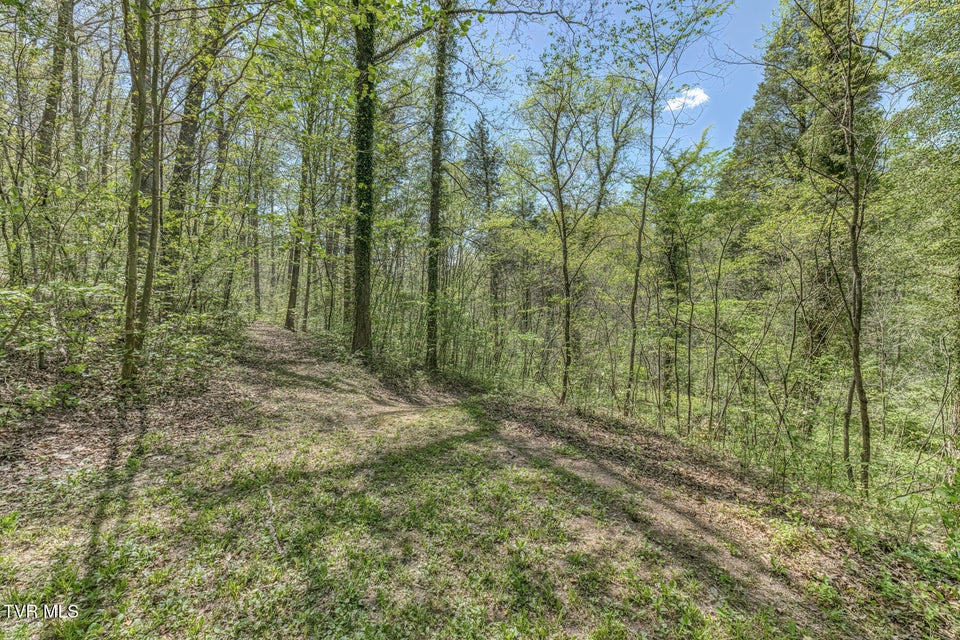 Photo #9: Tbd Havenmore Drive